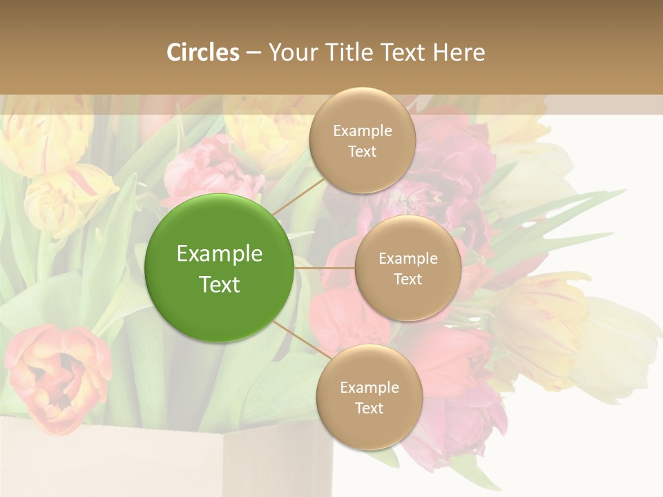 Tulip Flowers PowerPoint Template