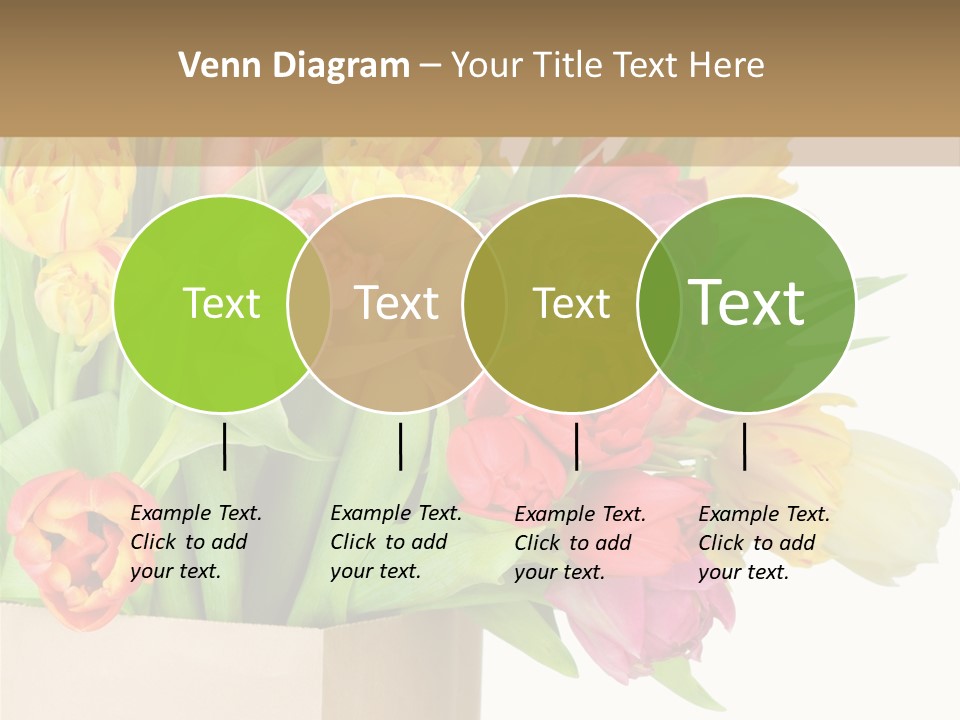 Tulip Flowers PowerPoint Template
