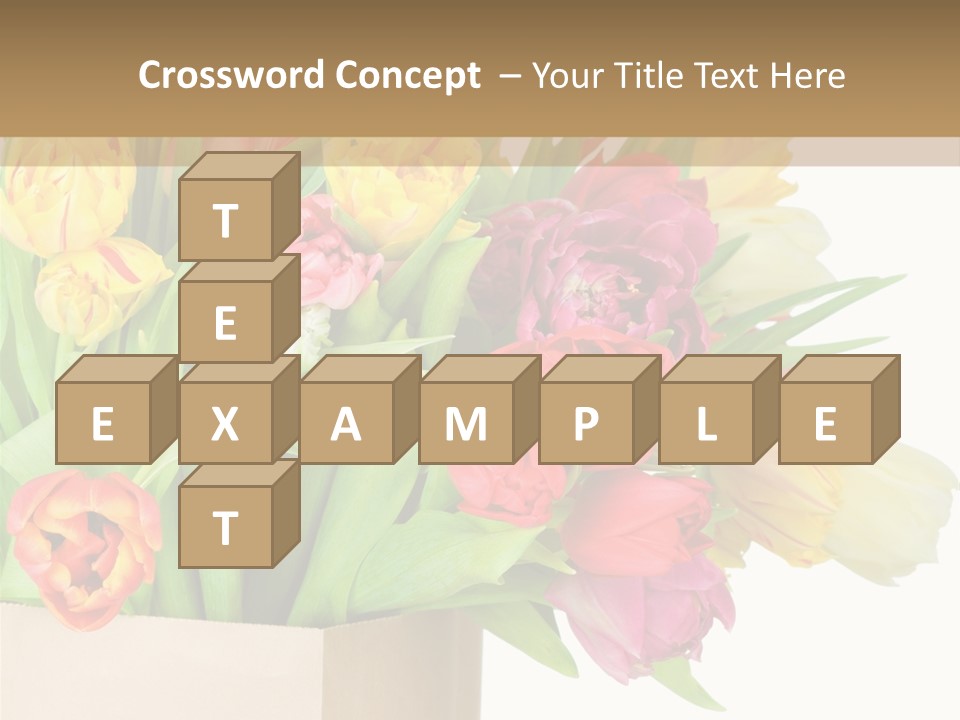 Tulip Flowers PowerPoint Template