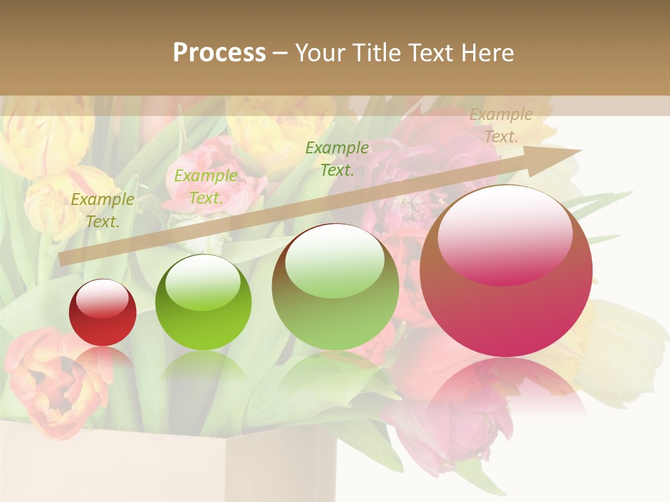 Tulip Flowers PowerPoint Template