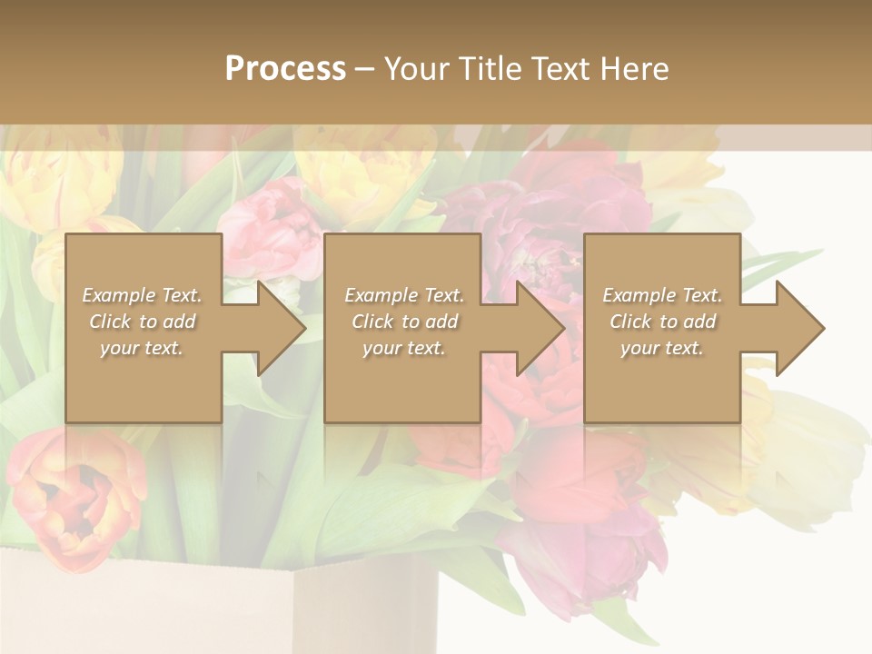 Tulip Flowers PowerPoint Template