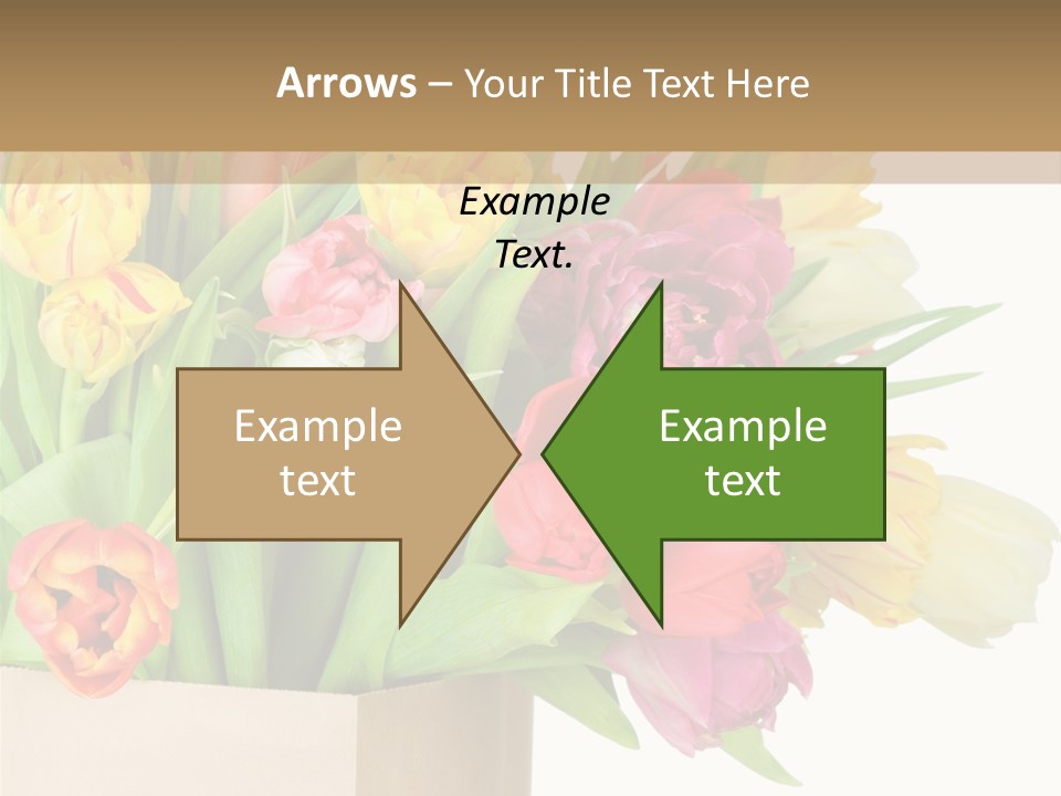 Tulip Flowers PowerPoint Template