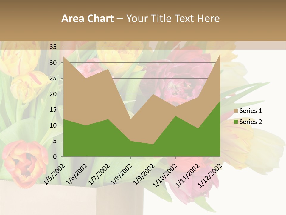 Tulip Flowers PowerPoint Template