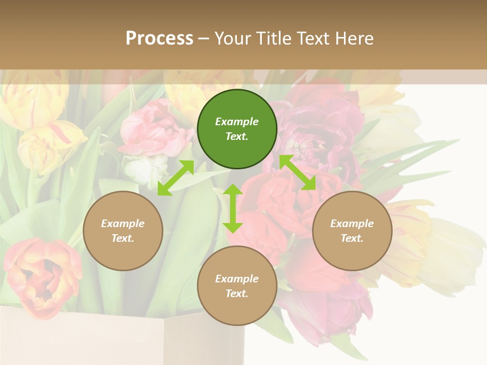 Tulip Flowers PowerPoint Template