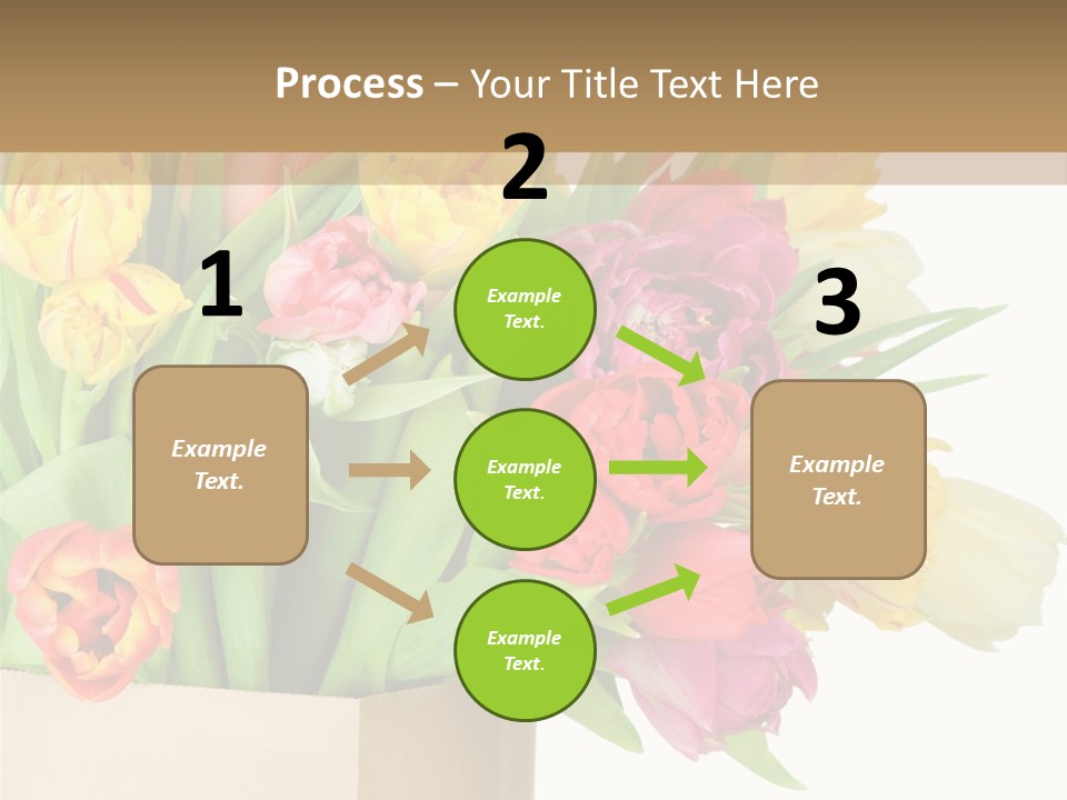 Tulip Flowers PowerPoint Template
