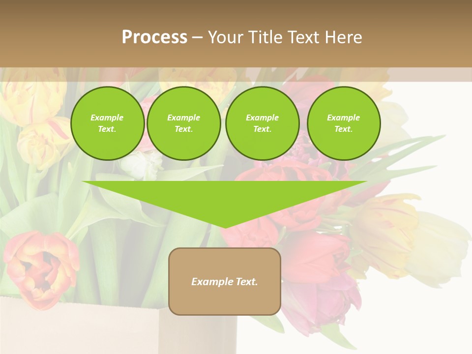 Tulip Flowers PowerPoint Template