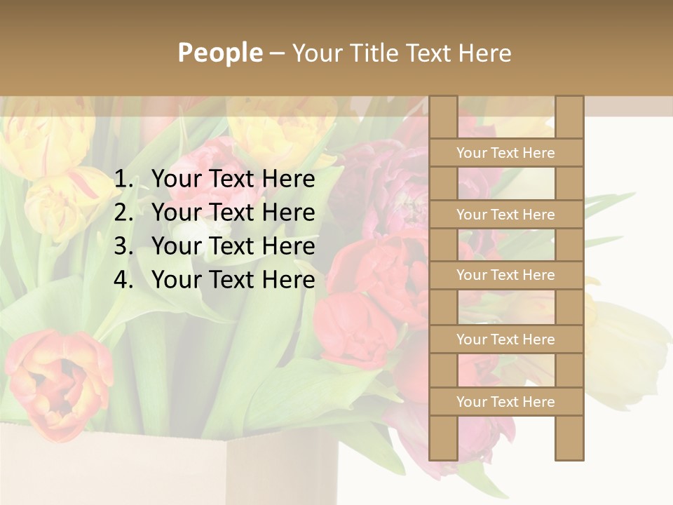 Tulip Flowers PowerPoint Template
