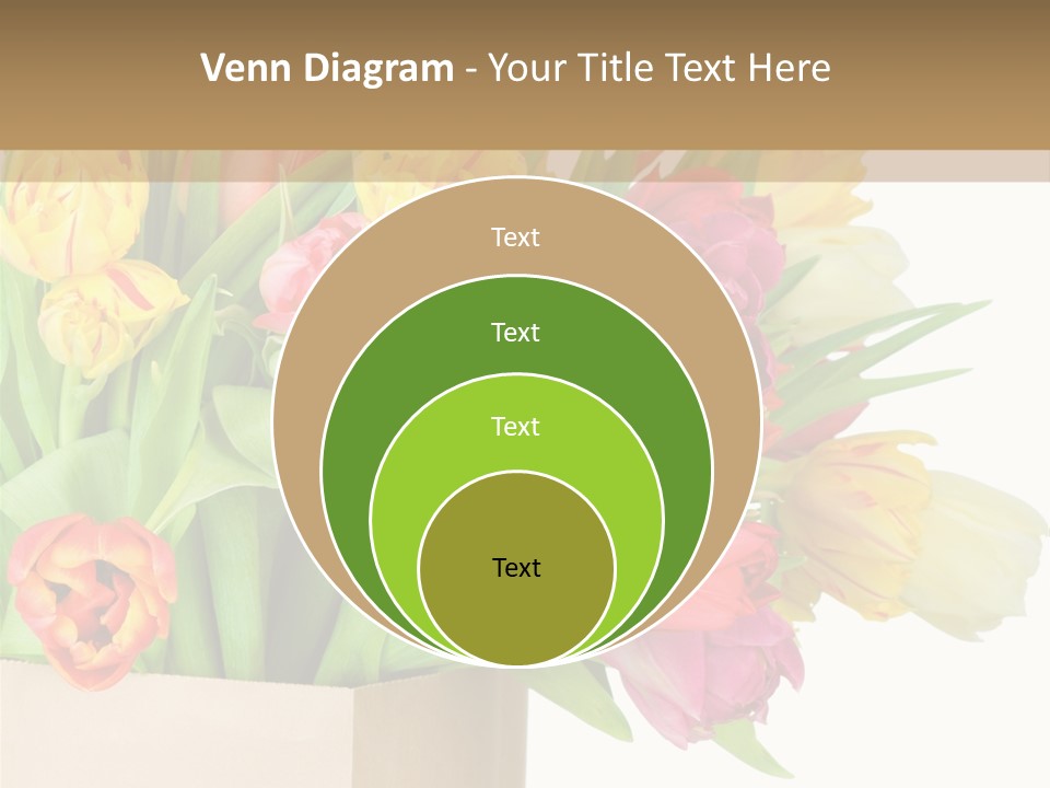 Tulip Flowers PowerPoint Template