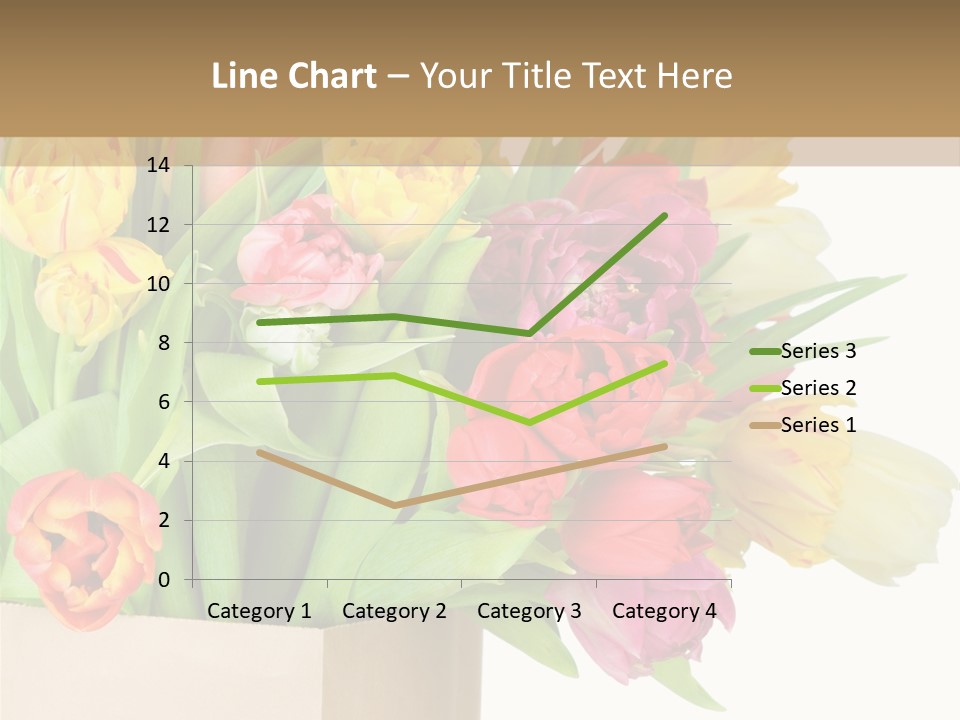 Tulip Flowers PowerPoint Template