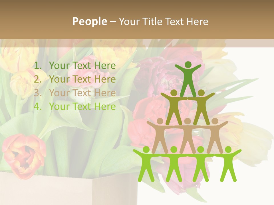 Tulip Flowers PowerPoint Template
