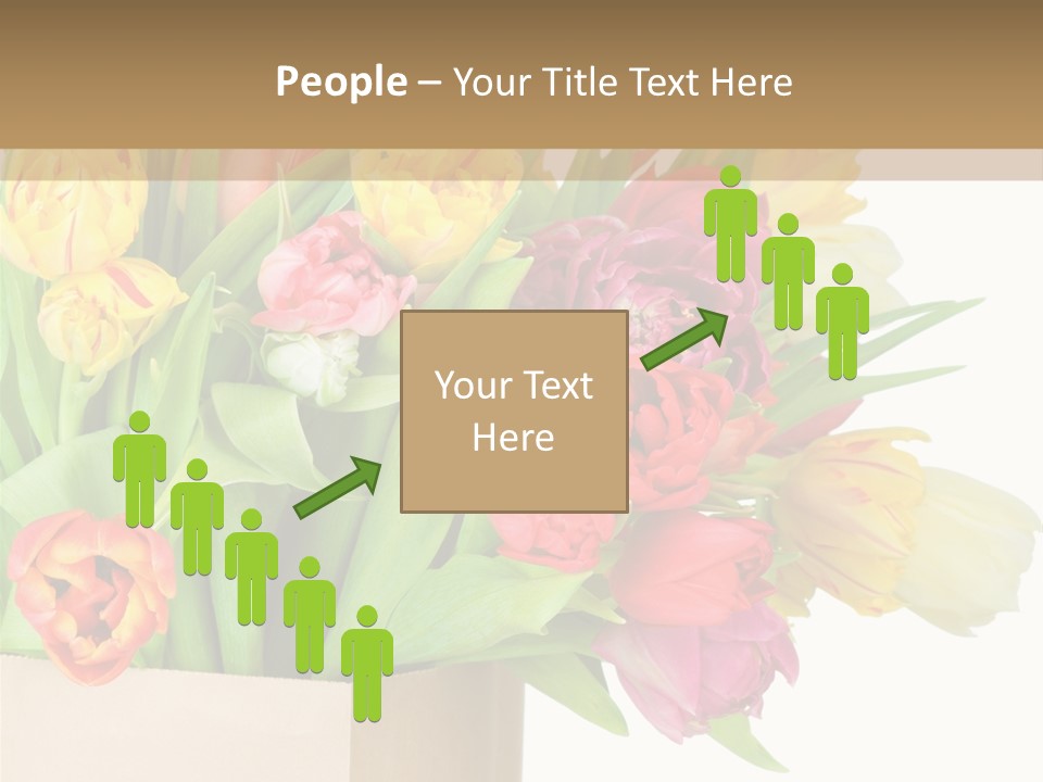 Tulip Flowers PowerPoint Template