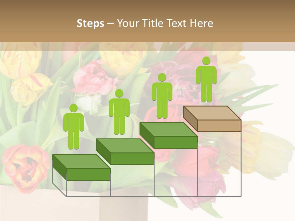 Tulip Flowers PowerPoint Template