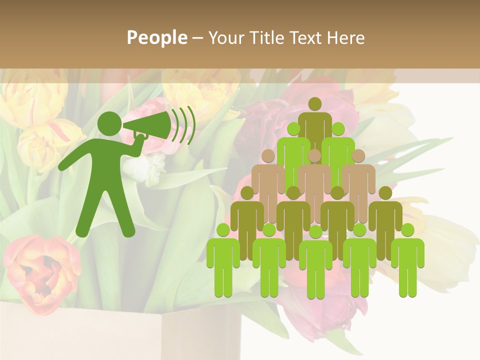 Tulip Flowers PowerPoint Template