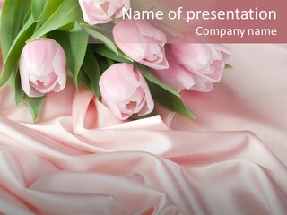 Beautiful Tulips PowerPoint Template