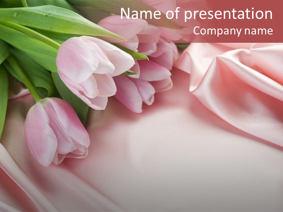 Pink Tulips PowerPoint Template