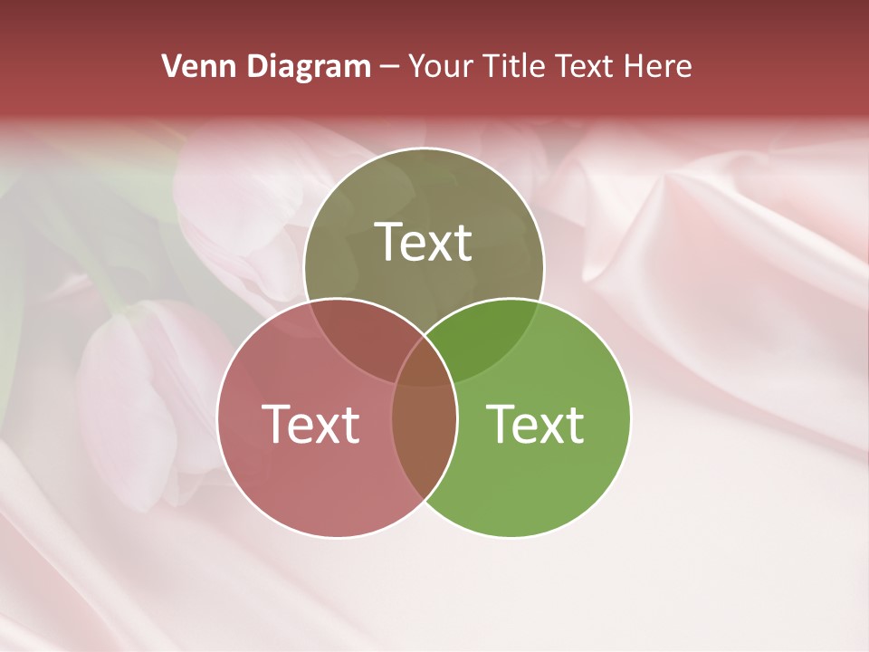Pink Tulips PowerPoint Template