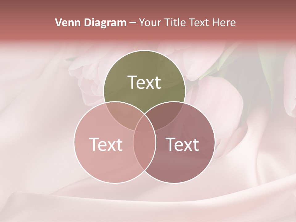 Pink Tulips PowerPoint Template