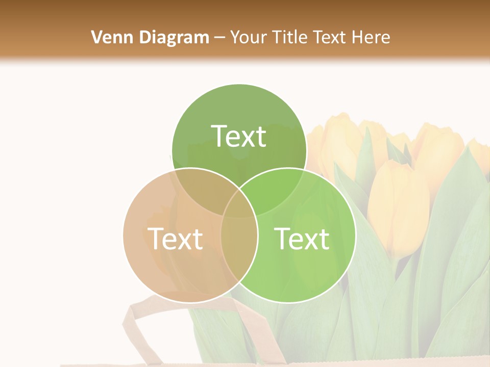 Yellow Tulips PowerPoint Template