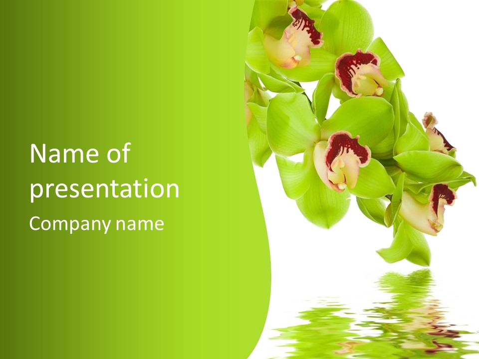 Flora Flower Water PowerPoint Template