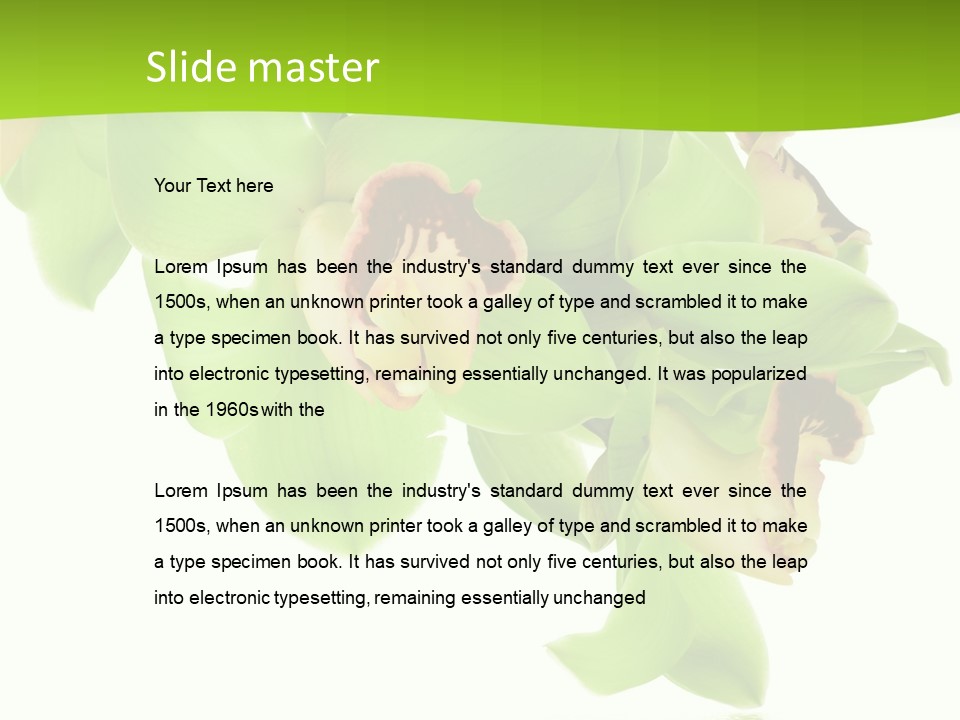 Flora Flower Water PowerPoint Template