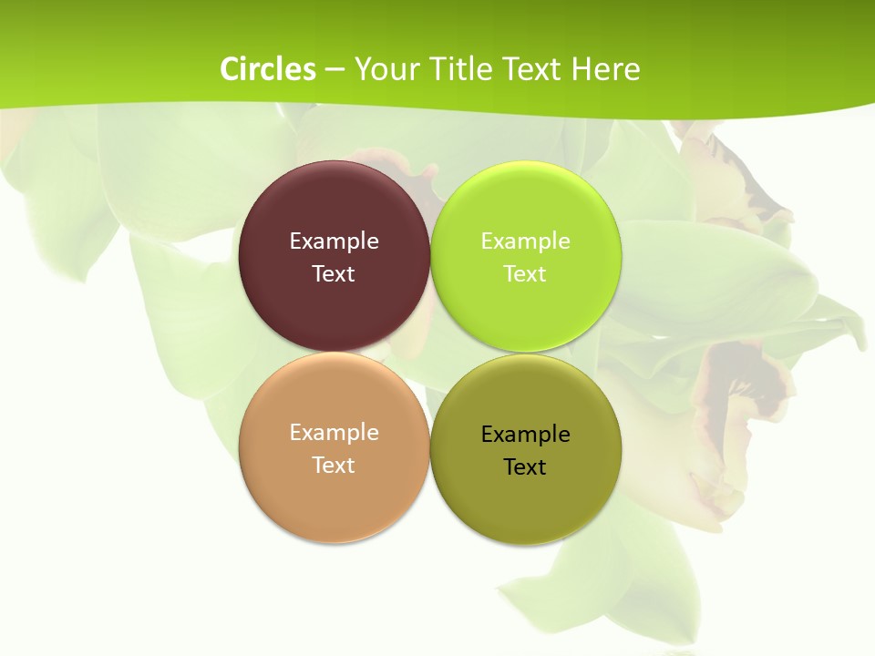 Flora Flower Water PowerPoint Template