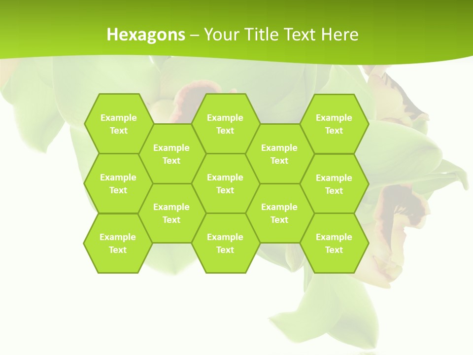 Flora Flower Water PowerPoint Template