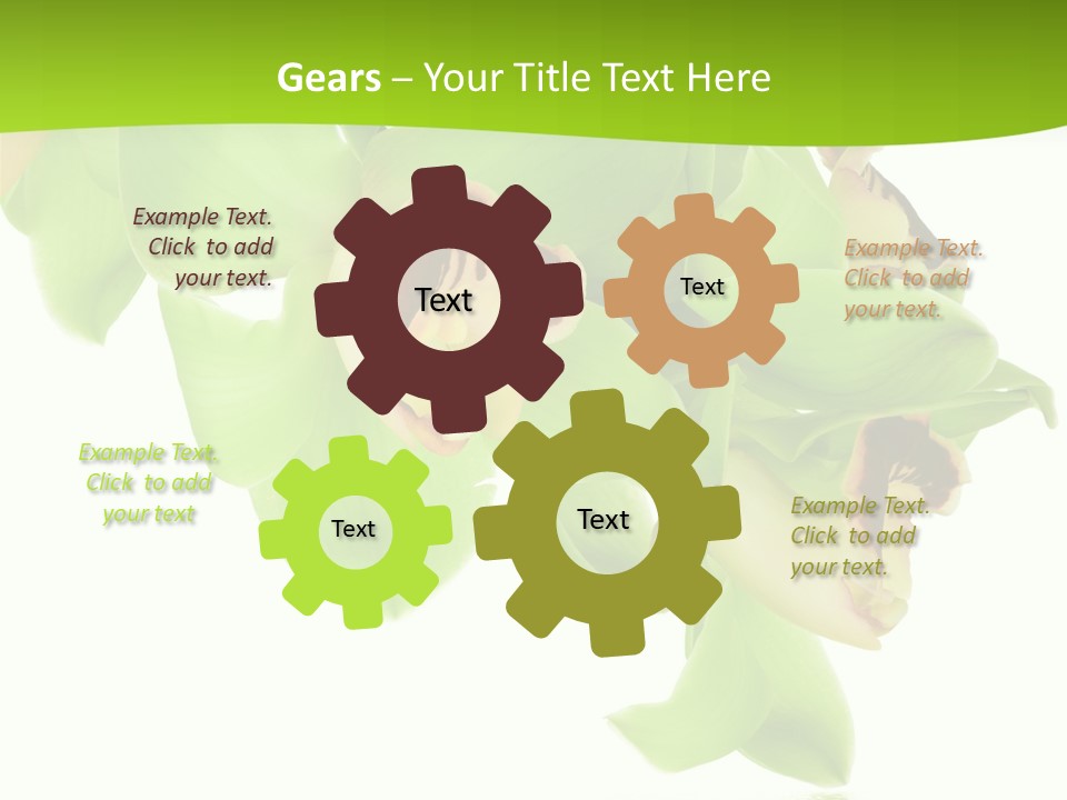 Flora Flower Water PowerPoint Template