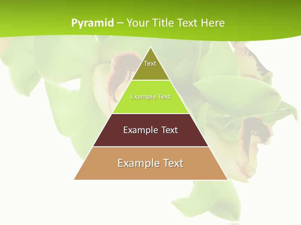 Flora Flower Water PowerPoint Template