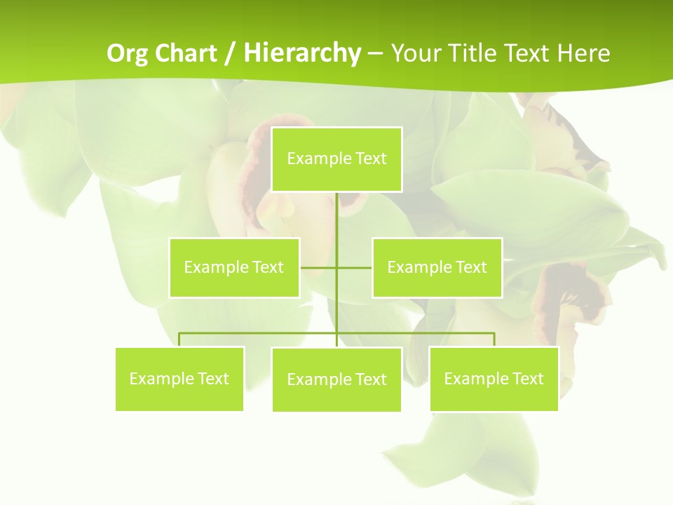 Flora Flower Water PowerPoint Template