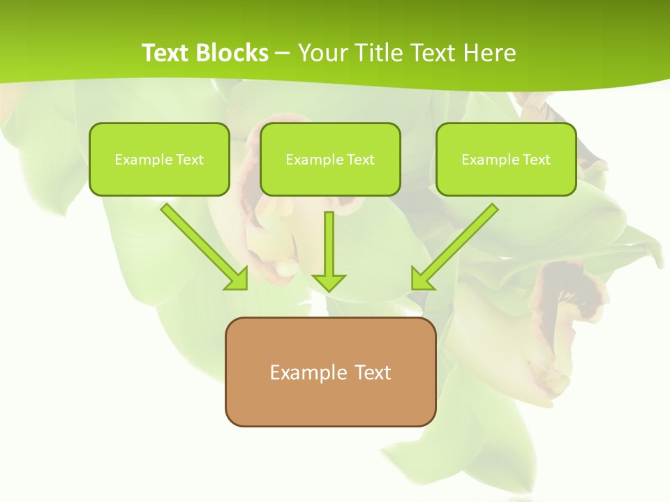 Flora Flower Water PowerPoint Template