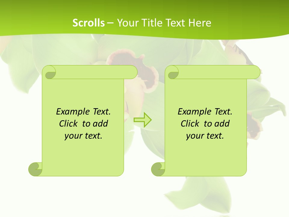 Flora Flower Water PowerPoint Template