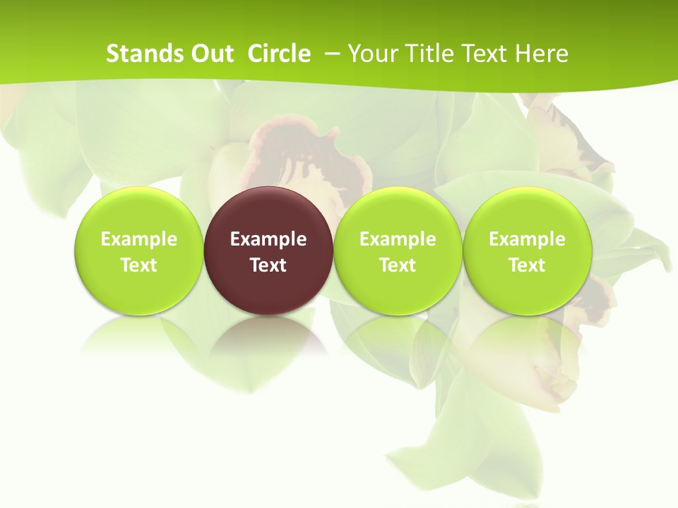 Flora Flower Water PowerPoint Template