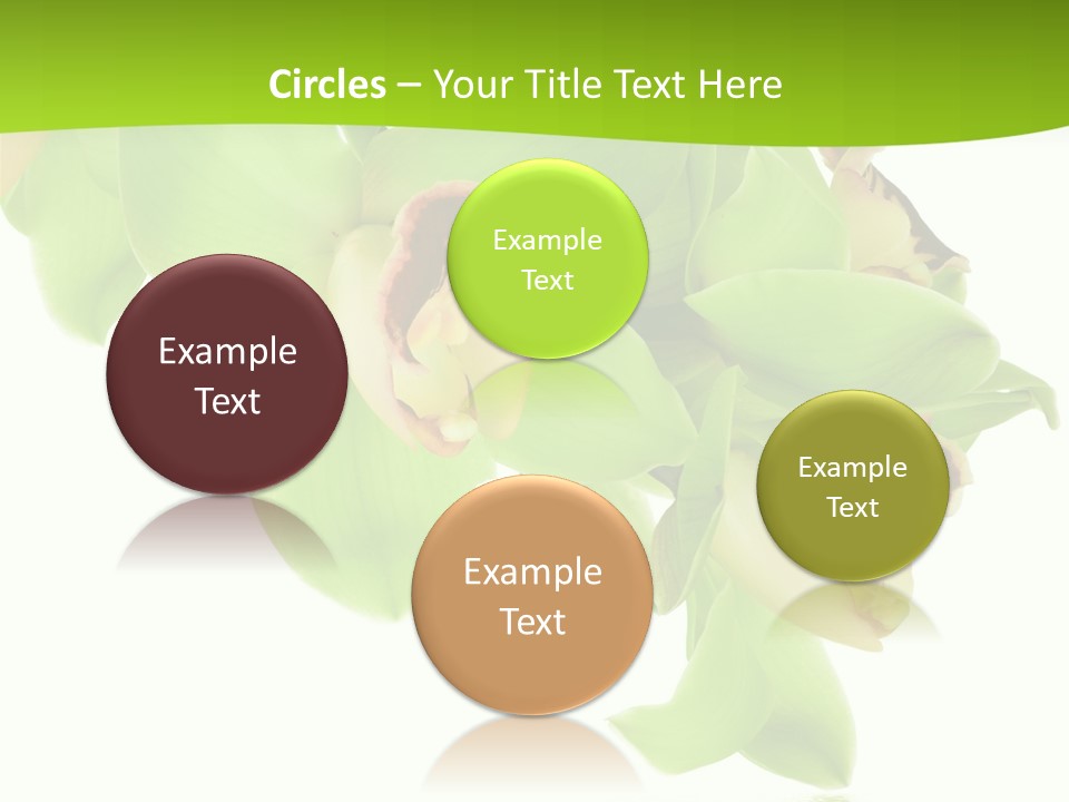 Flora Flower Water PowerPoint Template