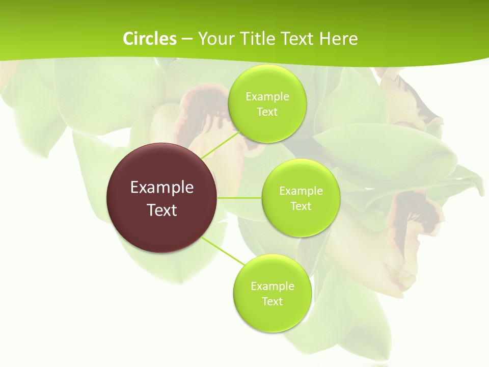 Flora Flower Water PowerPoint Template