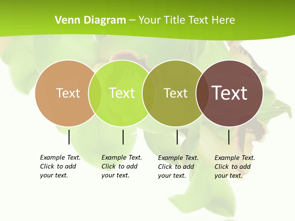 Flora Flower Water PowerPoint Template