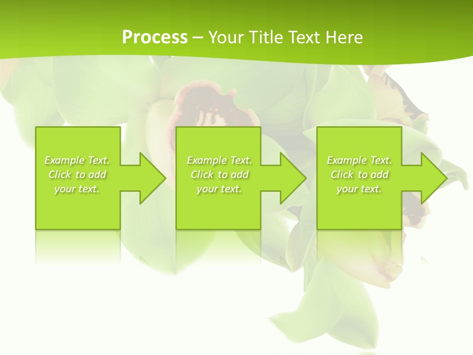 Flora Flower Water PowerPoint Template