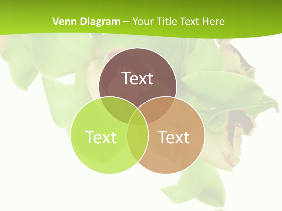 Flora Flower Water PowerPoint Template