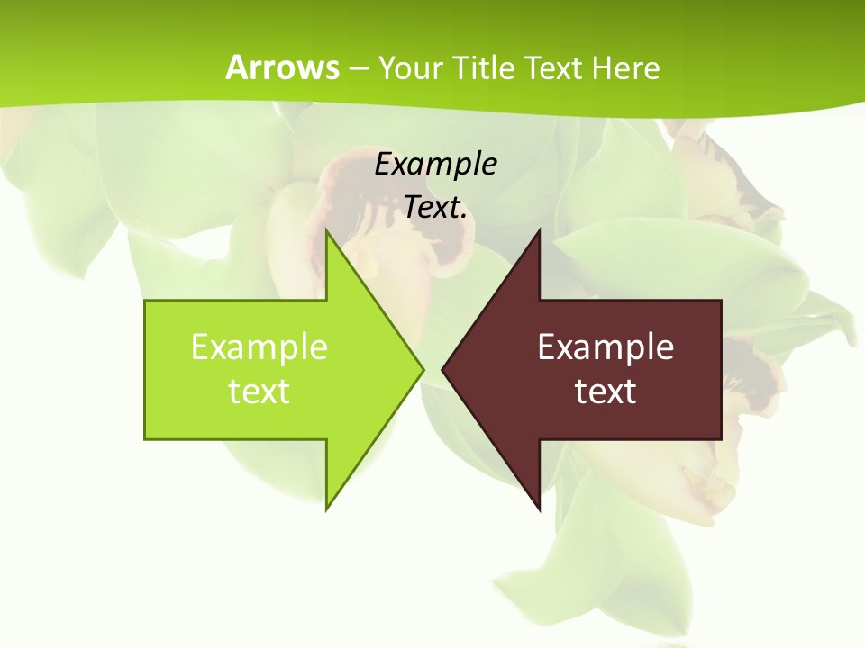 Flora Flower Water PowerPoint Template