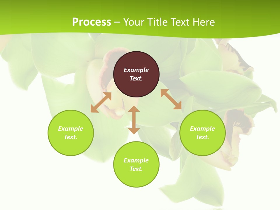 Flora Flower Water PowerPoint Template