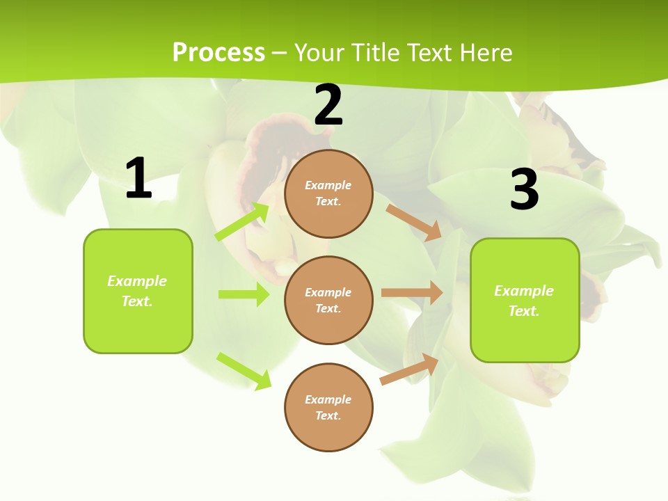 Flora Flower Water PowerPoint Template