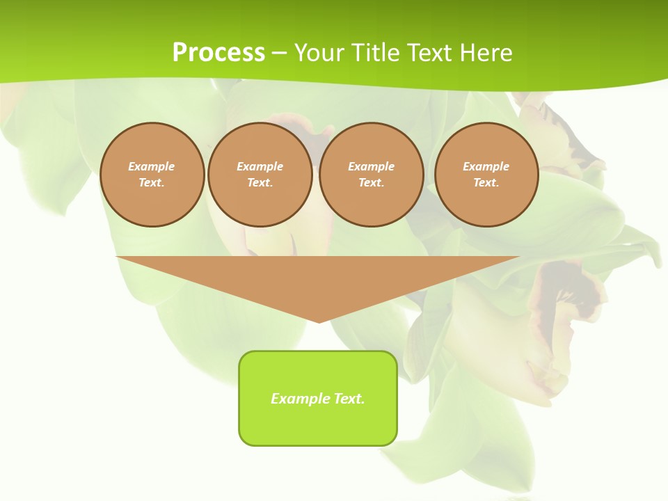 Flora Flower Water PowerPoint Template