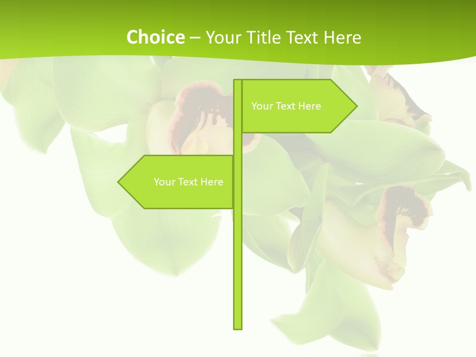 Flora Flower Water PowerPoint Template