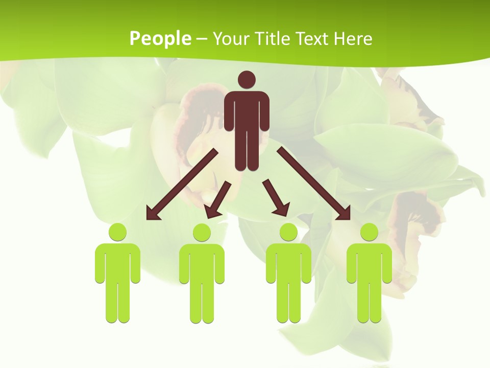 Flora Flower Water PowerPoint Template