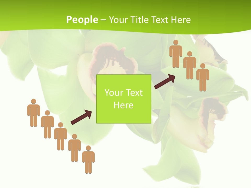 Flora Flower Water PowerPoint Template