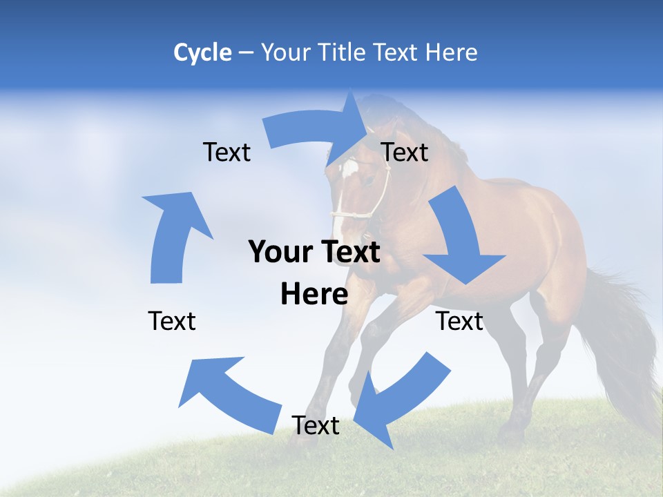 Horse PowerPoint Template
