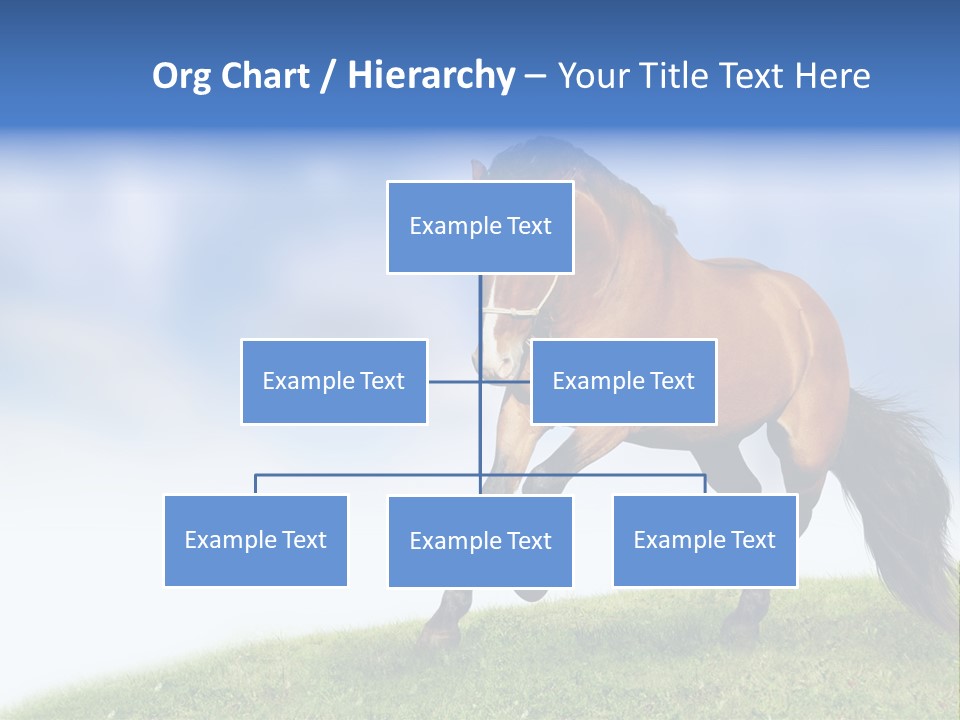 Horse PowerPoint Template