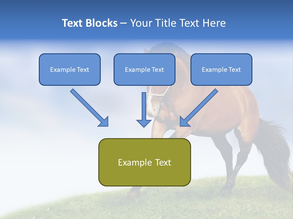 Horse PowerPoint Template