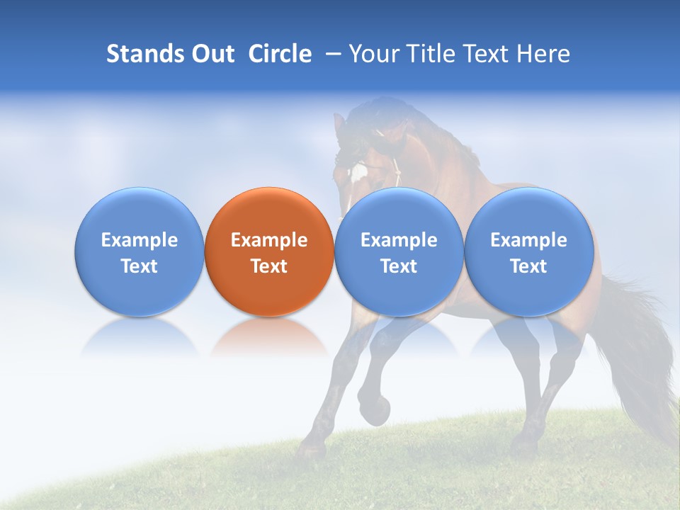 Horse PowerPoint Template