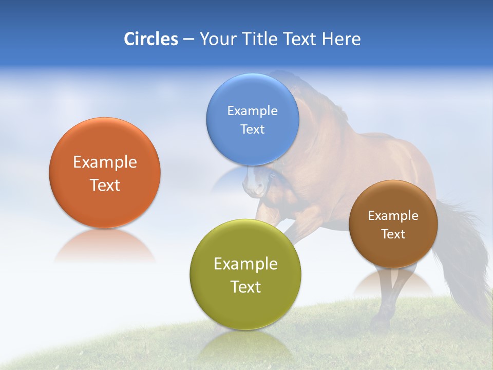 Horse PowerPoint Template