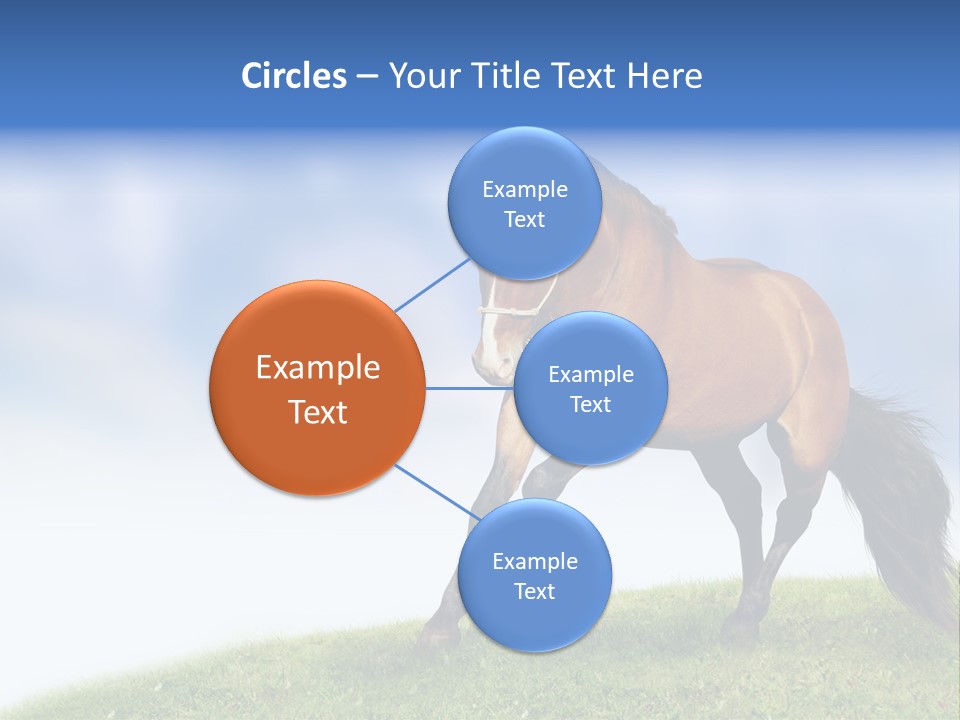 Horse PowerPoint Template